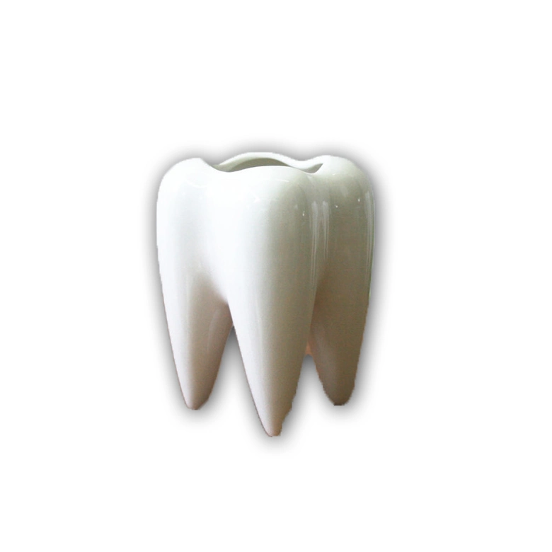 Personalized Ceramic Office Fancy Teeth Shaped Pen Holders